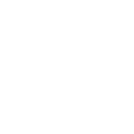 VANLIFE